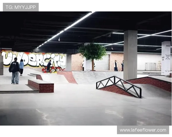 成都滑板队的比赛经验分享与成长之路探讨